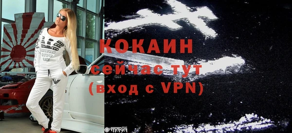 шишки Балахна